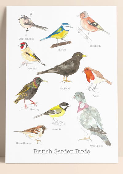 British Garden Birds Print