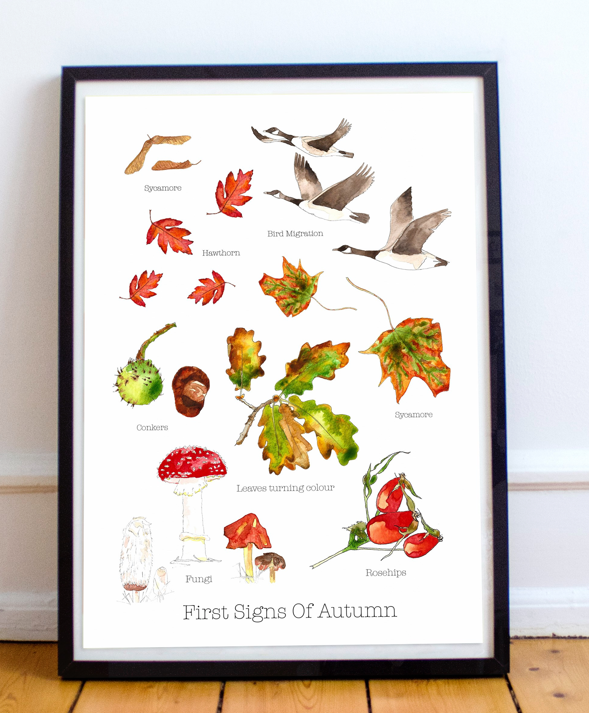 First Signs of Autumn Print